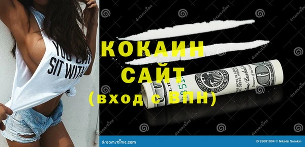 2c-b Бородино