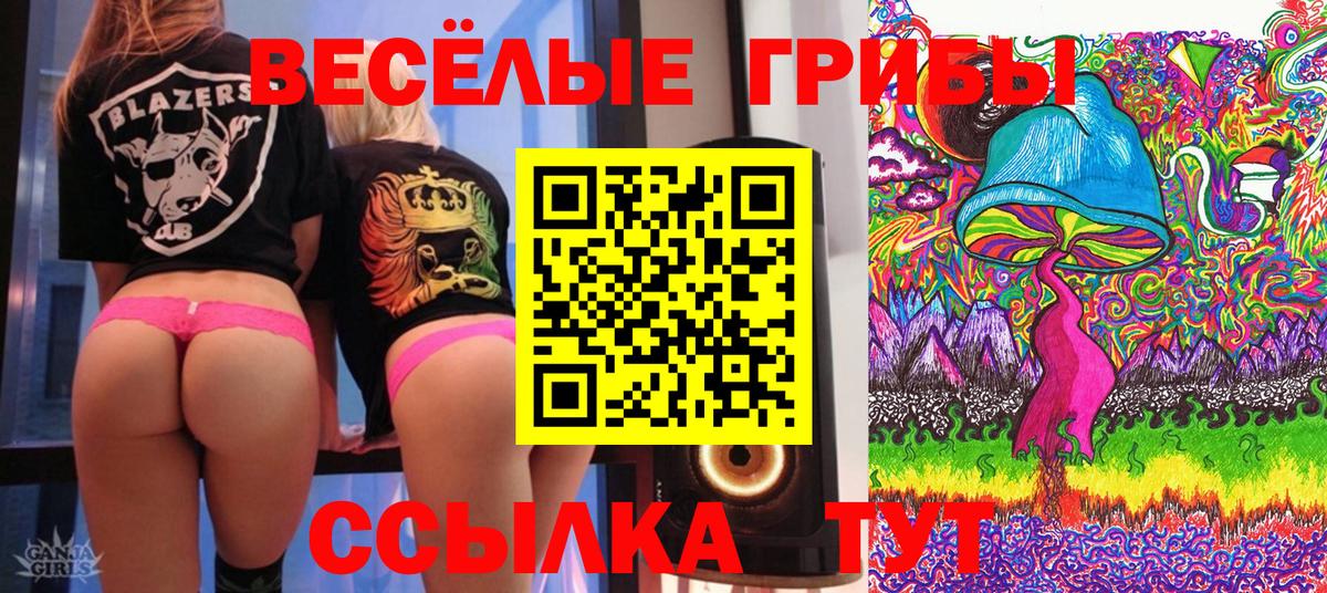 Псилоцибиновые грибы мицелий Медногорск