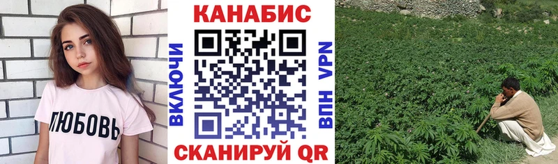 Шишки марихуана марихуана  хочу   omg зеркало  Медногорск 